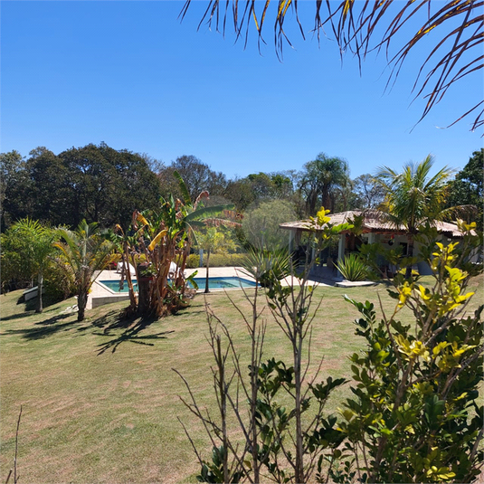 Foto REO1090366