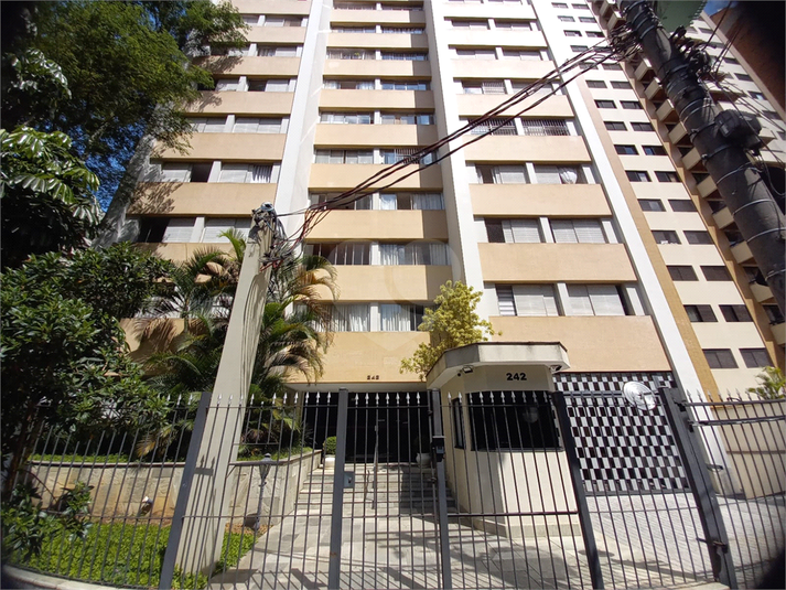 Foto REO1090368
