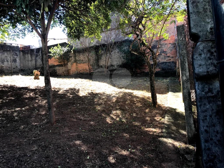 Foto REO1090370