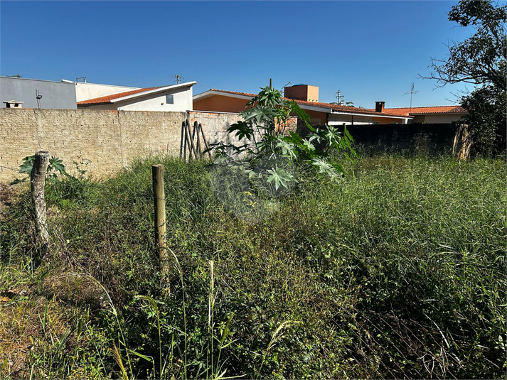 Foto REO1090375