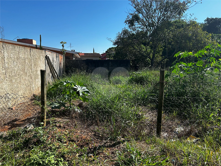 Foto REO1090375