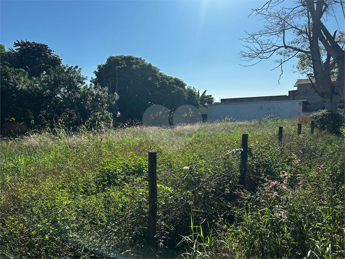 Foto REO1090375