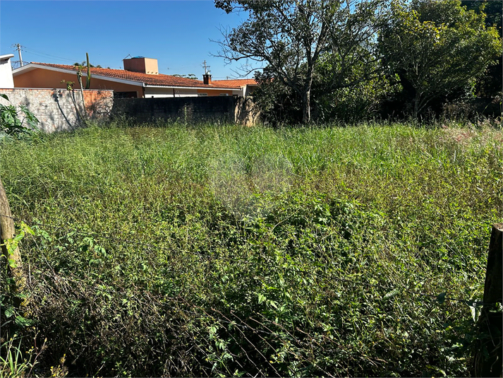 Foto REO1090375