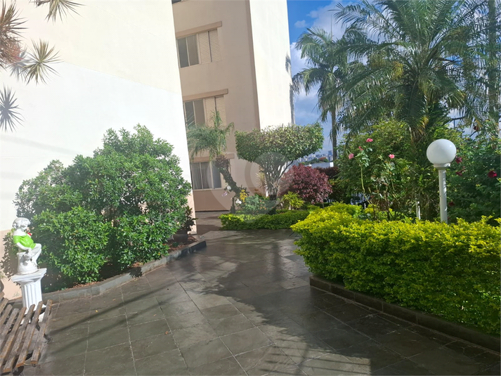 Foto REO1090378