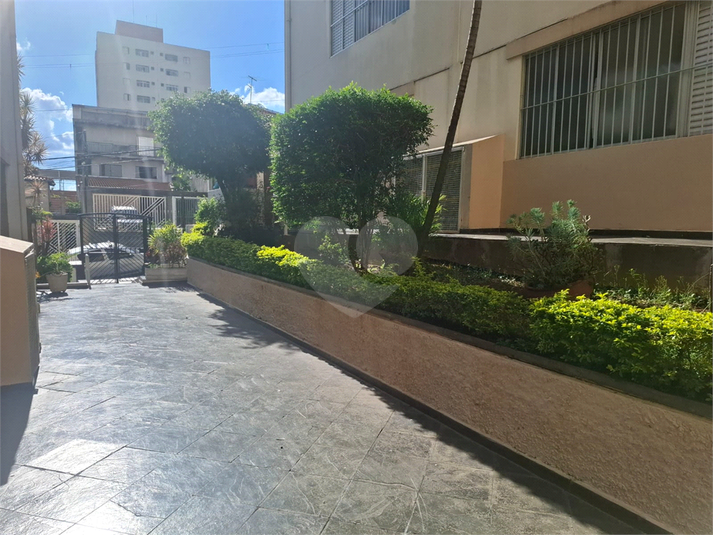 Foto REO1090378