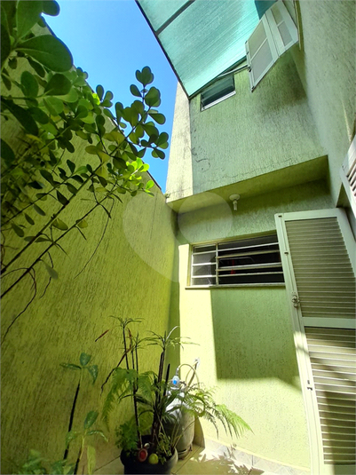 Foto REO1090402