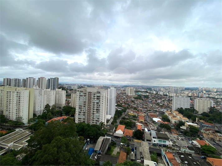 Foto REO1090404