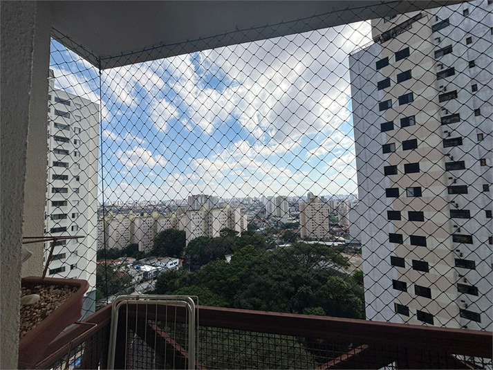 Foto REO1090412