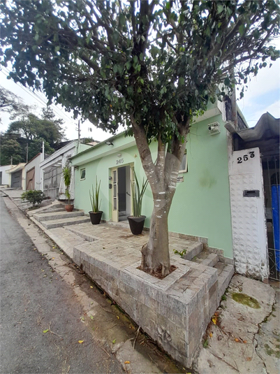 Foto REO1090422