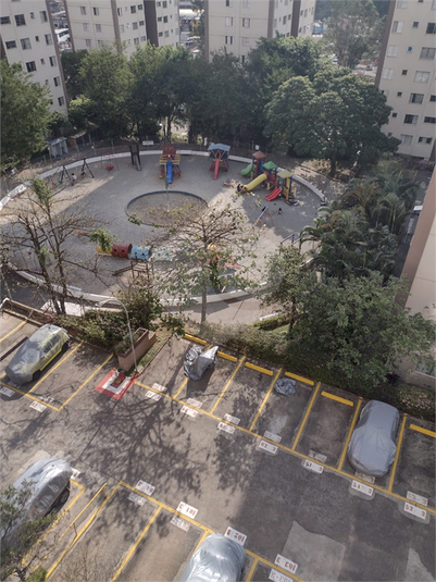 Foto REO1090435