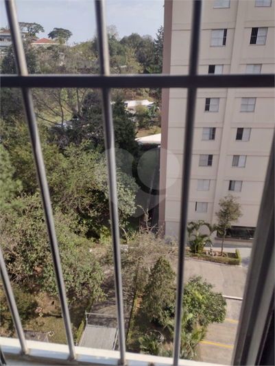 Foto REO1090435