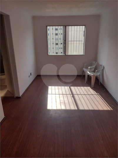 Foto REO1090435