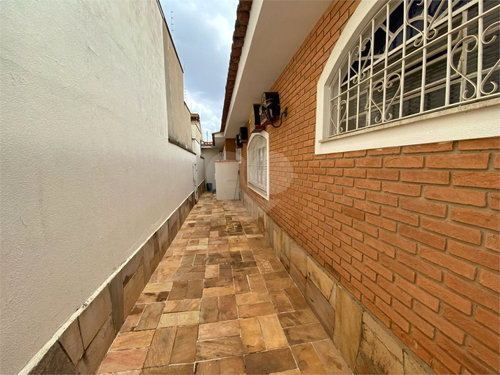 Foto REO1090437