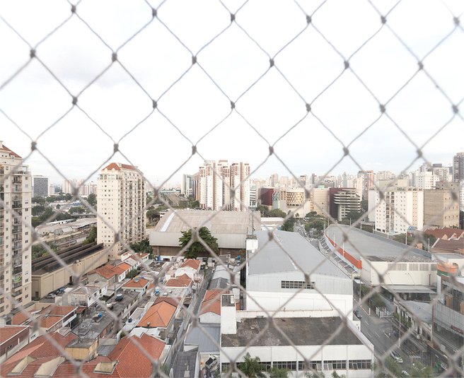 Foto REO1090443