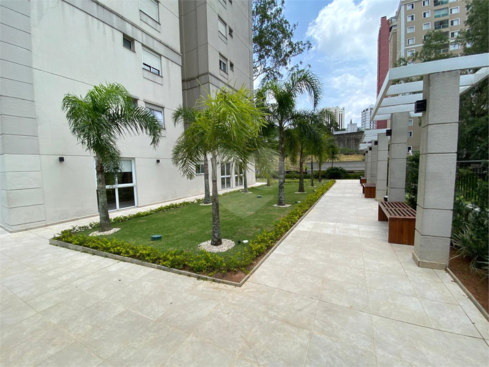 Foto REO1090444