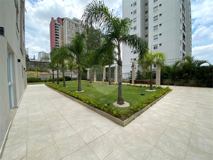 Foto REO1090444