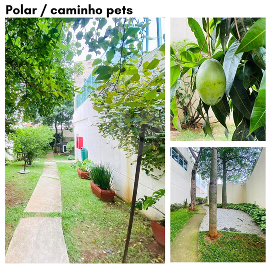 Foto REO1090448