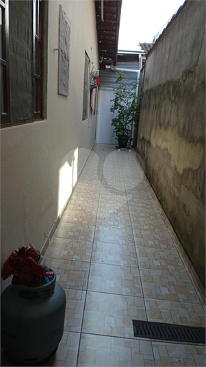 Foto REO1090454