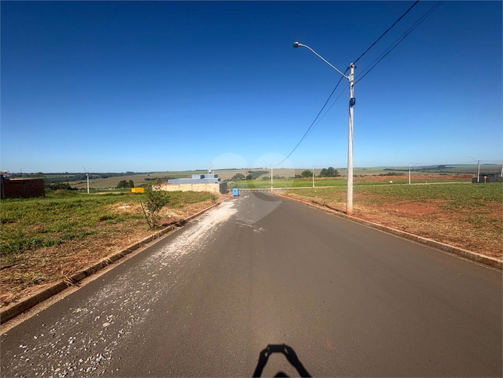 Foto REO1090456