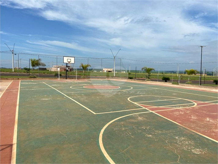 Foto REO1090456