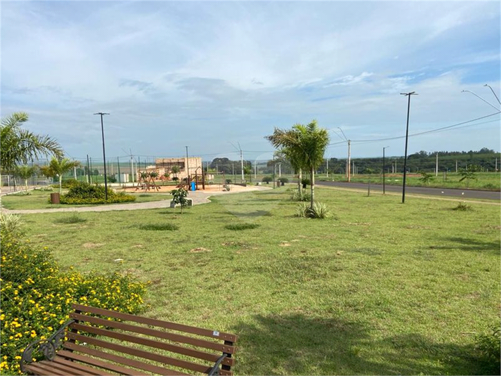 Foto REO1090456