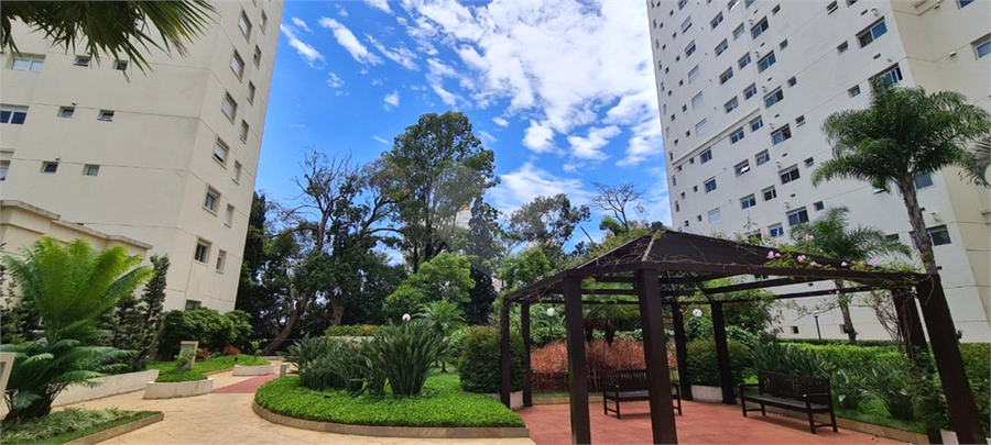 Foto REO1090457
