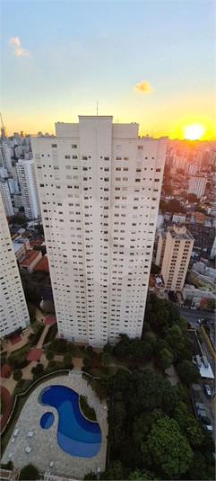 Foto REO1090457