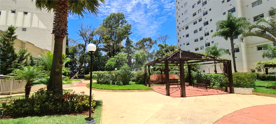 Foto REO1090457