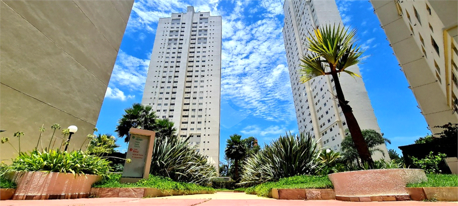 Foto REO1090457