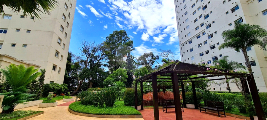 Foto REO1090457
