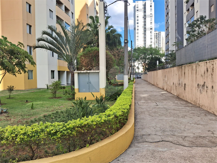 Foto REO1090466