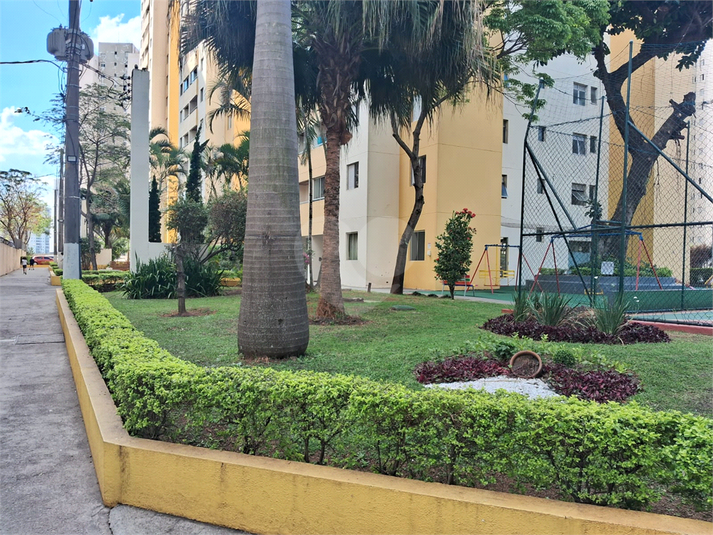 Foto REO1090466