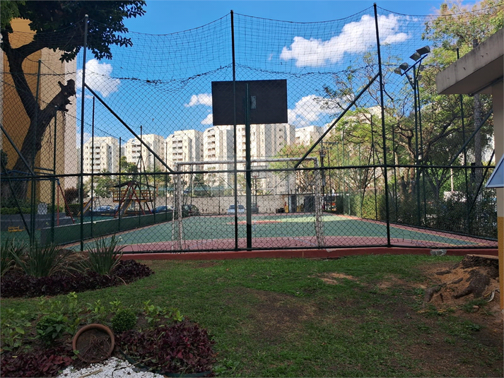 Foto REO1090466