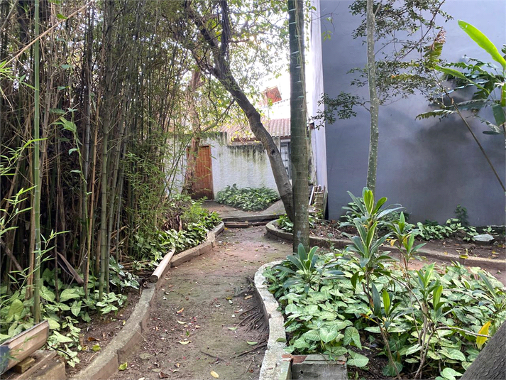 Foto REO1090479