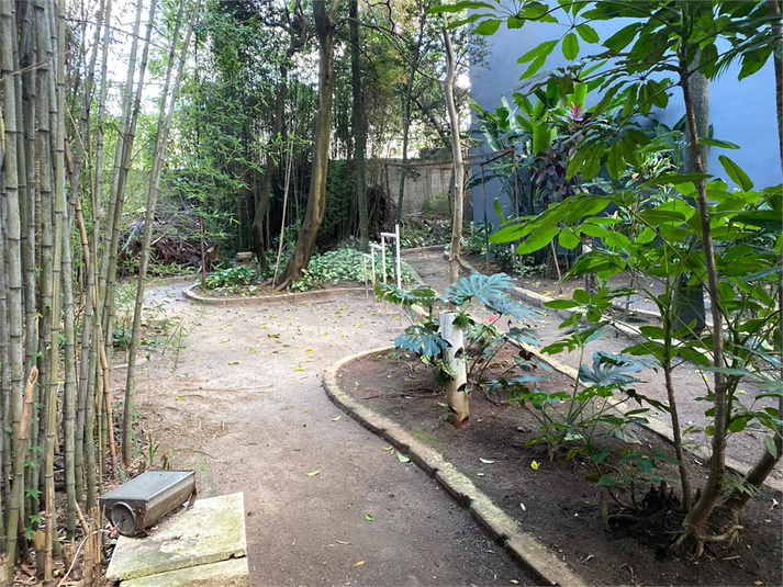 Foto REO1090479