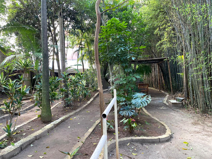 Foto REO1090479