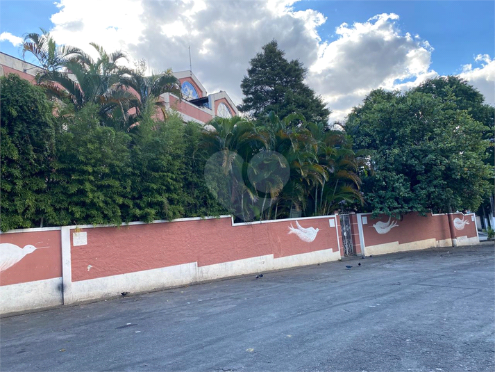 Foto REO1090479