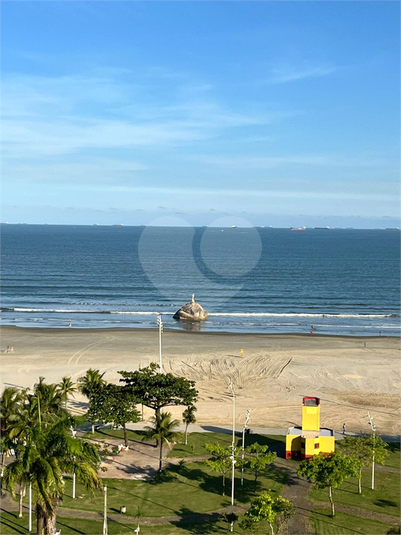Foto REO1090483