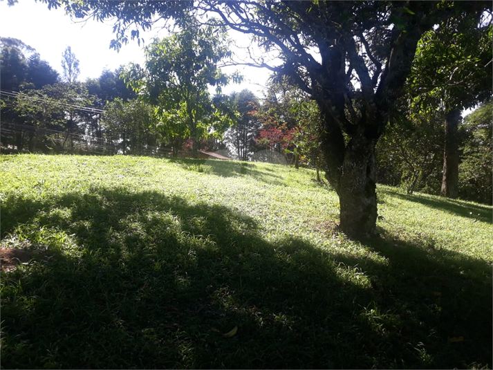 Foto REO1090497