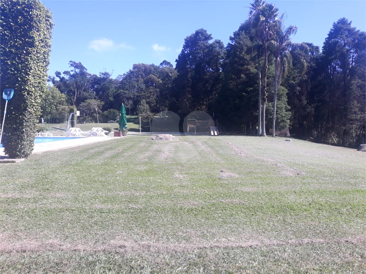 Foto REO1090497