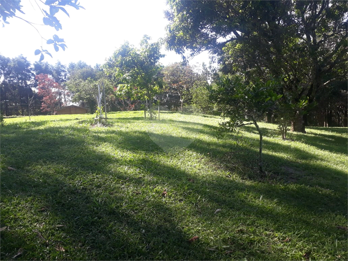 Foto REO1090497