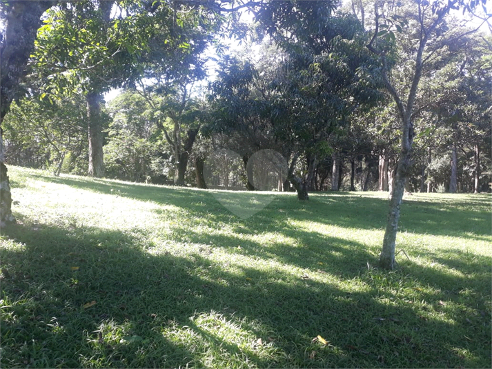 Foto REO1090497