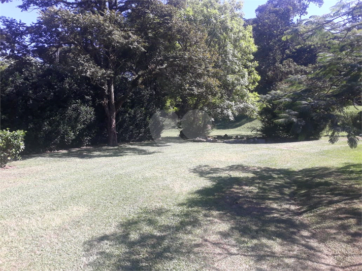 Foto REO1090497