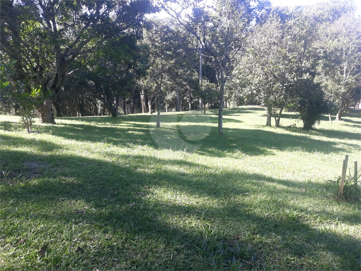 Foto REO1090497