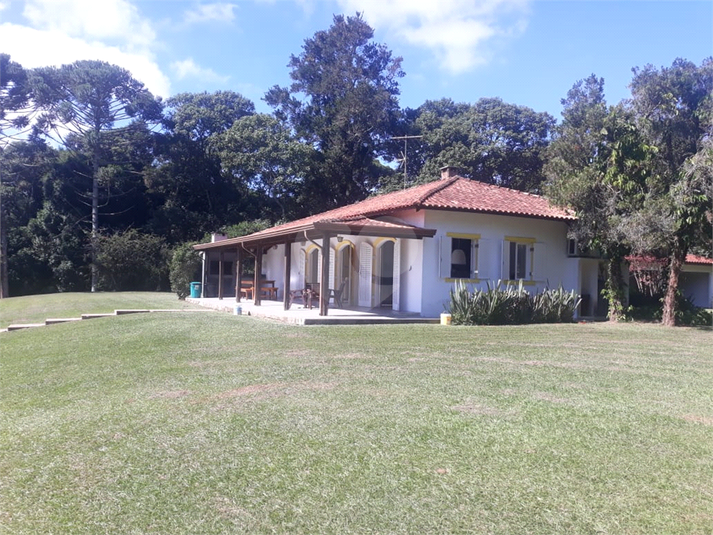 Foto REO1090497