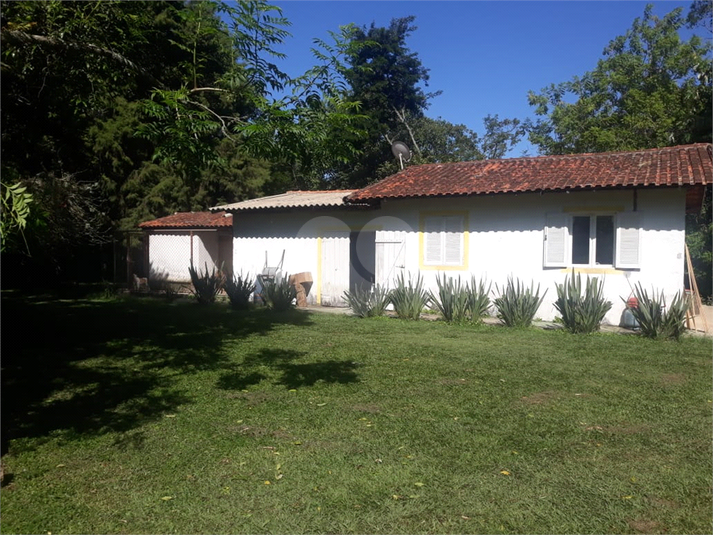 Foto REO1090497