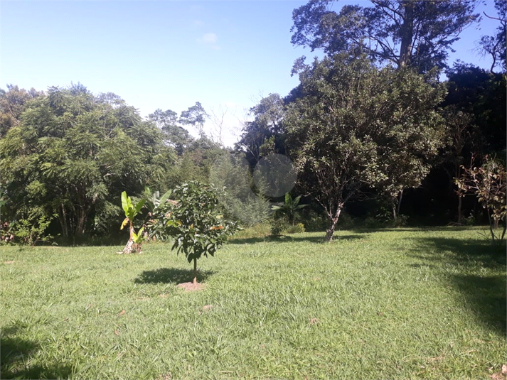 Foto REO1090497