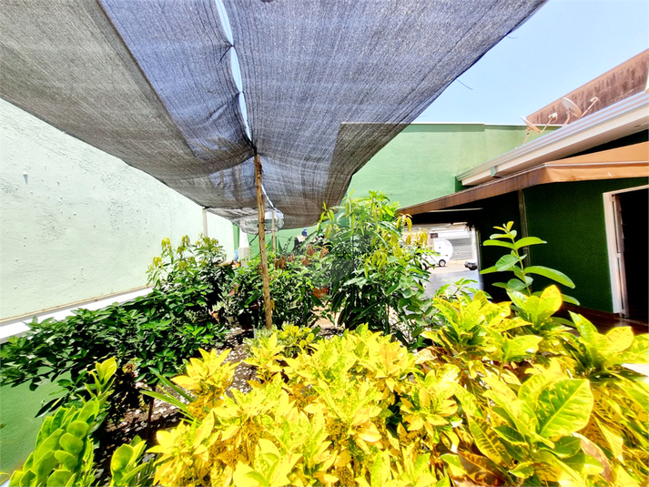 Foto REO1090541