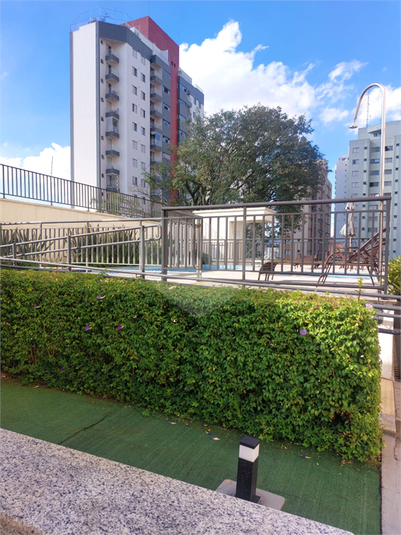 Foto REO1090547