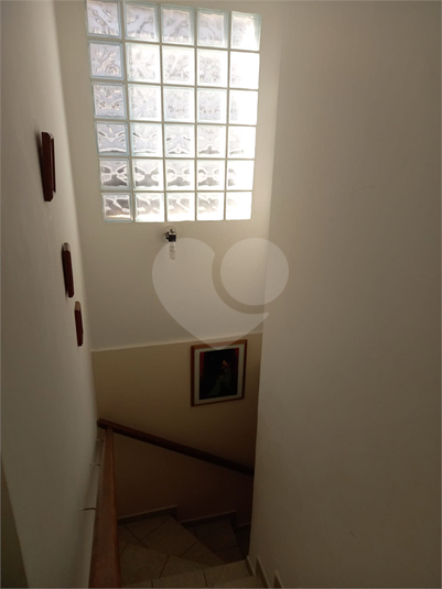 Foto REO1090549